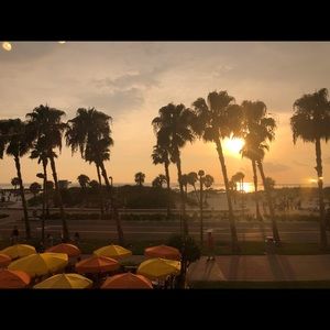 Meet your Posher, Cary